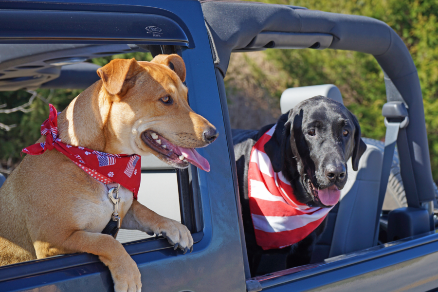 Road Trip Itinerary Kansas City to Branson, MO Explore Branson